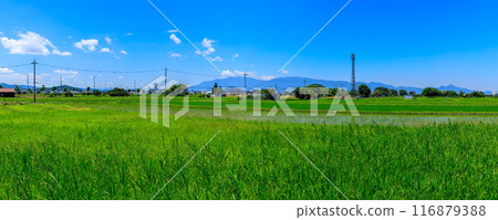 櫻井市東進道稻田和三個岳、鱉鼻山、天香宮、二條山、大和葛木山、金剛山 2024年7月5日 116879388