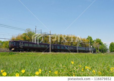 Kintetsu Aoniyoshi 116879852