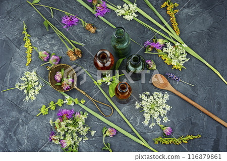 Bottles of tincture, medicinal herbs 116879861