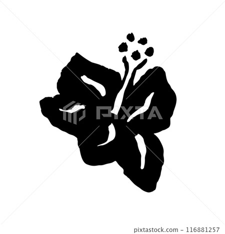 Inky abstract hibiscus flower sketch isolated on white Inky abstract hibiscus flower sketch isolated on white 116881257