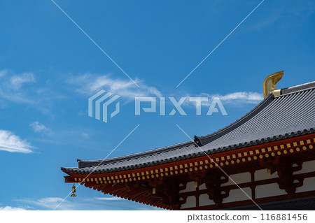 藥師 藥師 116881456