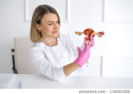 A female doctor demonstrates process of using gynecological speculum on model of  uterus 116881888