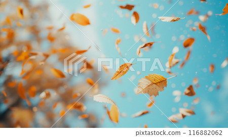 Autumn leaves falling from the sky. 116882062