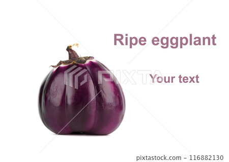 Ripe spherical eggplant on white background with example text. 116882130