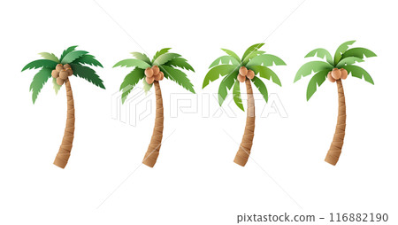 Set of Vector Palm Trees with Coconuts Illustrations 116882190