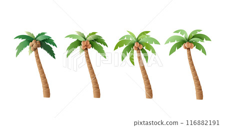 Set of Vector Palm Trees with Coconuts Illustrations 116882191