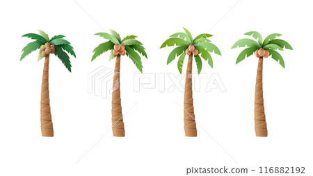 Set of Vector Palm Trees with Coconuts Illustrations 116882192