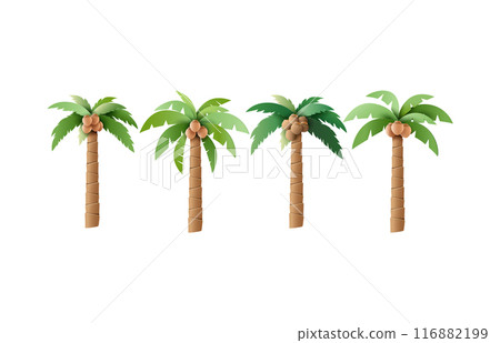 Set of Vector Palm Trees with Coconuts Illustrations 116882199