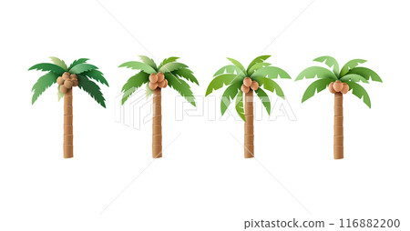 Set of Vector Palm Trees with Coconuts Illustrations 116882200