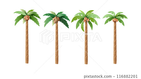Set of Vector Palm Trees with Coconuts Illustrations 116882201