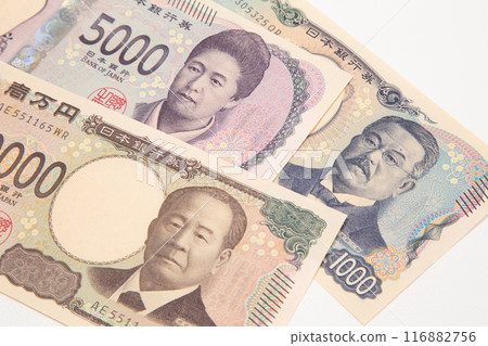 Money New banknotes 116882756