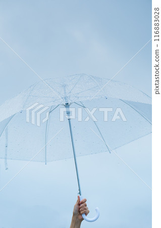 傾盆大雨中撐著傘的中年婦女 116883028