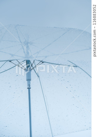 A middle-aged woman holding an umbrella in the pouring rain 116883052