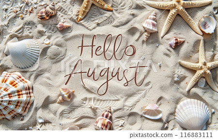 Hello August - modern calligraphy lettering. Summer concept background, with sand beach background. Seashells frame 116883111