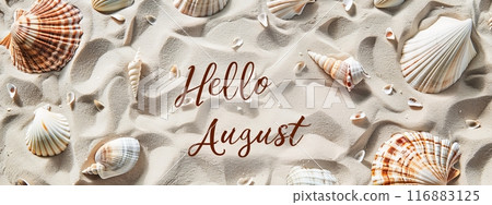 Hello August - modern calligraphy lettering. Summer concept background, with sand beach background. Seashells frame 116883125