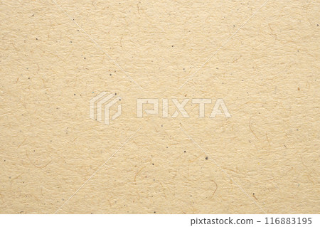 Brown eco recycled kraft paper sheet texture cardboard background 116883195