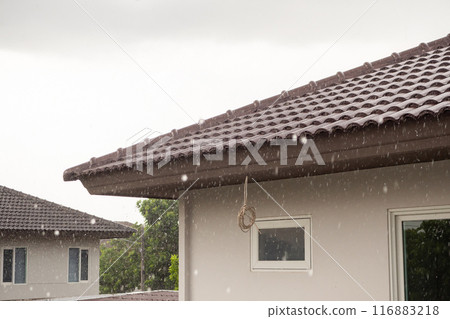 rain falling down from the house roof rain falling down from the house roof 116883218