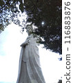 Kannon looking up at the sky 116883876