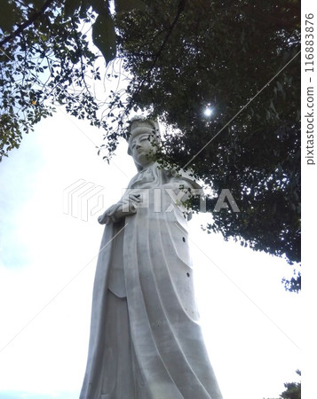 Kannon looking up at the sky Kannon looking up at the sky 116883876