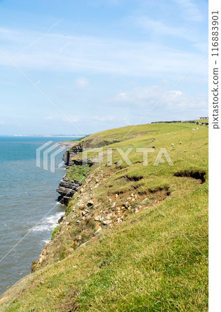 南威爾斯郊區的一處陡峭懸崖，沿著海岸拔地而起，地層裸露 116883901