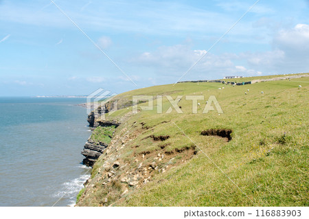 南威爾斯郊區的一處陡峭懸崖，沿著海岸拔地而起，地層裸露 116883903