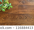 木紋桌和發財樹 116884413