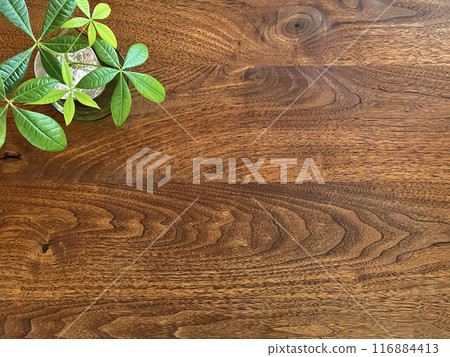 Wood grain table and Pachira Wood grain table and Pachira 116884413