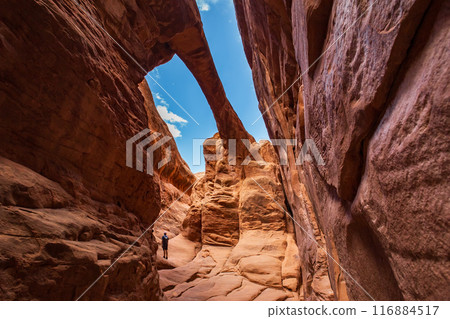 Fiery Furnace and Surprise Arch, Utah, USA Fiery Furnace and Surprise Arch, Utah, USA 116884517