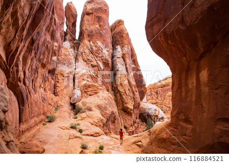 Young Hiker Exploring Fiery Furnace Trail in Utah 116884521