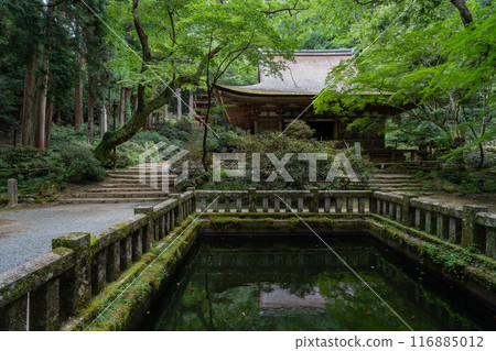 穆羅寺 116885012