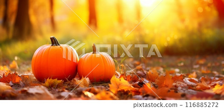 Autumn background, pumpkins and autumn leaves, sunny day Autumn background, pumpkins and autumn leaves, sunny day 116885272