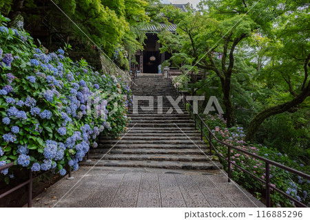 哈斯神廟 哈斯神廟 116885296