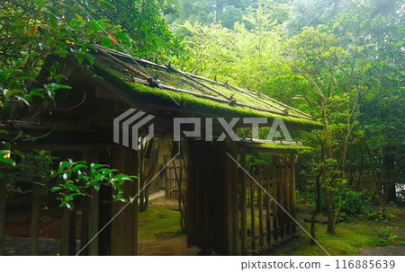 The elegant gate at the entrance to the Suzumatsuan teahouse at Tsubaki Grand Shrine 116885639
