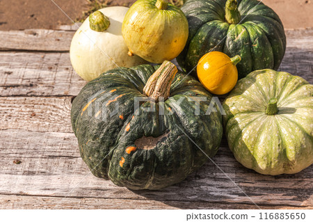 Autumnal Background. Natural autumn fall view pumpkins on wooden background. Inspirational october or september wallpaper. Change of seasons ripe organic food concept. Halloween party Thanksgiving day Autumnal Background. Natural autumn fall view pumpkins on wooden background. Inspirational october or september wallpaper. Change of seasons ripe organic food concept. Halloween party Thanksgiving day 116885650