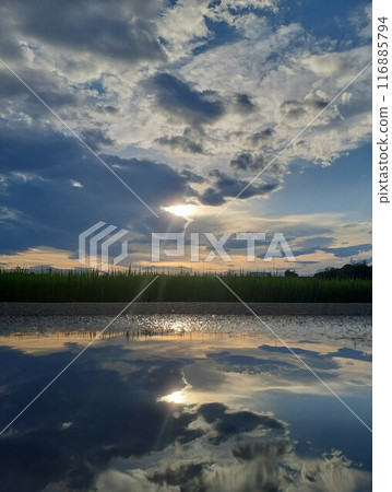 Reflection 116885794