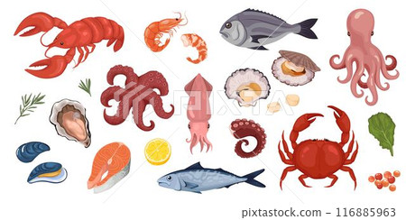 Cartoon set ocean seafood. 116885963
