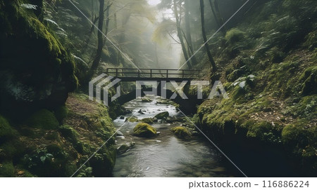 Tranquil green forest Landscape with Serene River and old Sunlit Bridge. Misty fresh nature environment. 116886224
