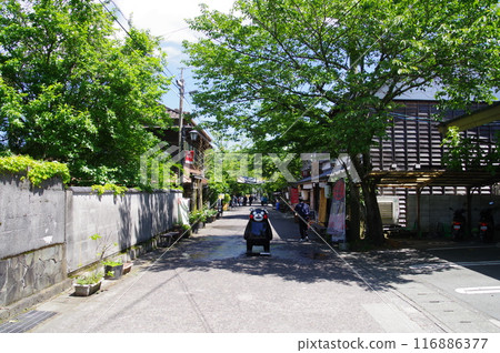 Kumamon in Monzenmachi Shopping Street 116886377