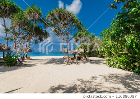Chairs and umbrellas at luxury beach with blue ocean. Holiday tropical banner Chairs and umbrellas at luxury beach with blue ocean. Holiday tropical banner 116886387