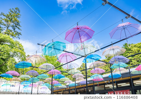 和田山尊永寺的傘狀天空（靜岡縣） 116886408