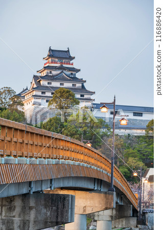 Vertical landscape view of Jyounai bridge and blur Karatsu castle 116886420