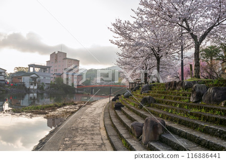 Ureshino Onsen Park with colorful cherry blossom at sunrise, Ureshino Ureshino Onsen Park with colorful cherry blossom at sunrise, Ureshino 116886441