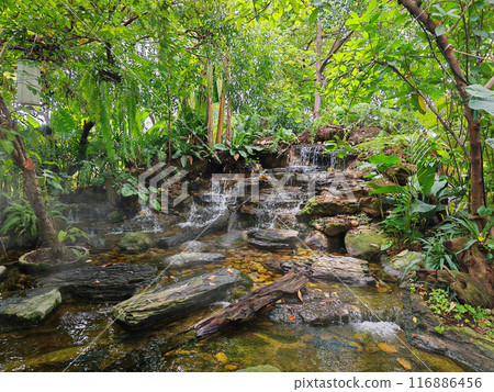 Artificial waterfall at outdoor garden of cafe and restaurant 116886456