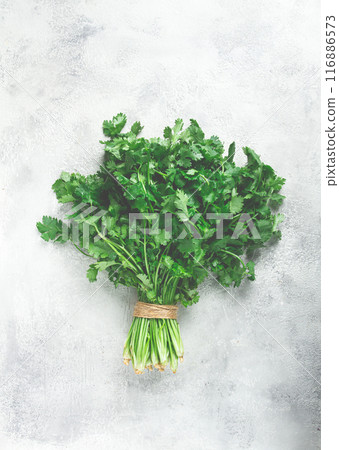 a bouquet of fresh coriander, a bunch of coriander on the table, top view, 116886573