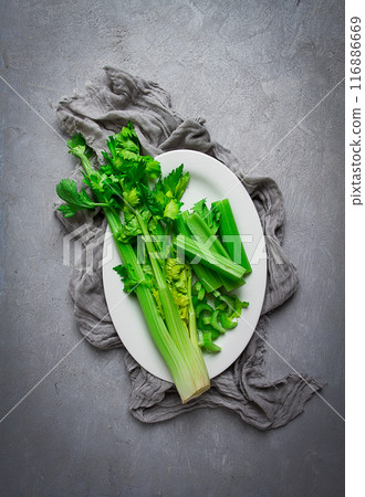 fresh bunch of celery, top view, no people, 116886669