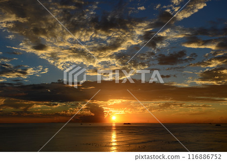 夏威夷威基基 夏威夷威基基 116886752