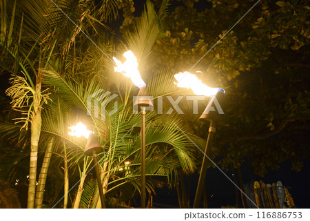 夏威夷威基基 夏威夷威基基 116886753