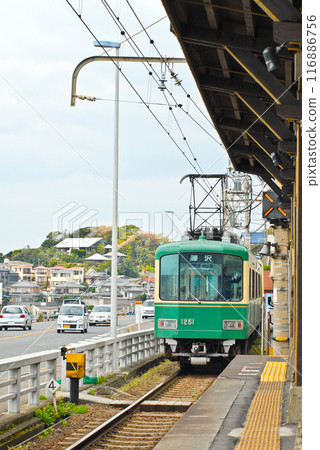 In front of Kamakura High School 116886756