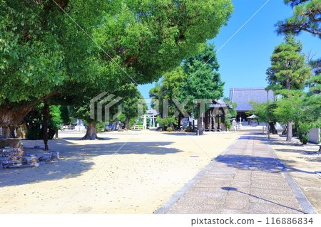 [Kagawa Prefecture] Shikoku Pilgrimage "Temple No. 76" Konzo-ji Temple (Keiashiyama, Hodo-in) 116886834