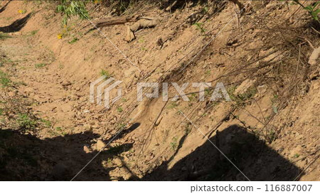 Slow motion of antique train shadow emitting smoke on dirt ground Slow motion of antique train shadow emitting smoke on dirt ground 116887007
